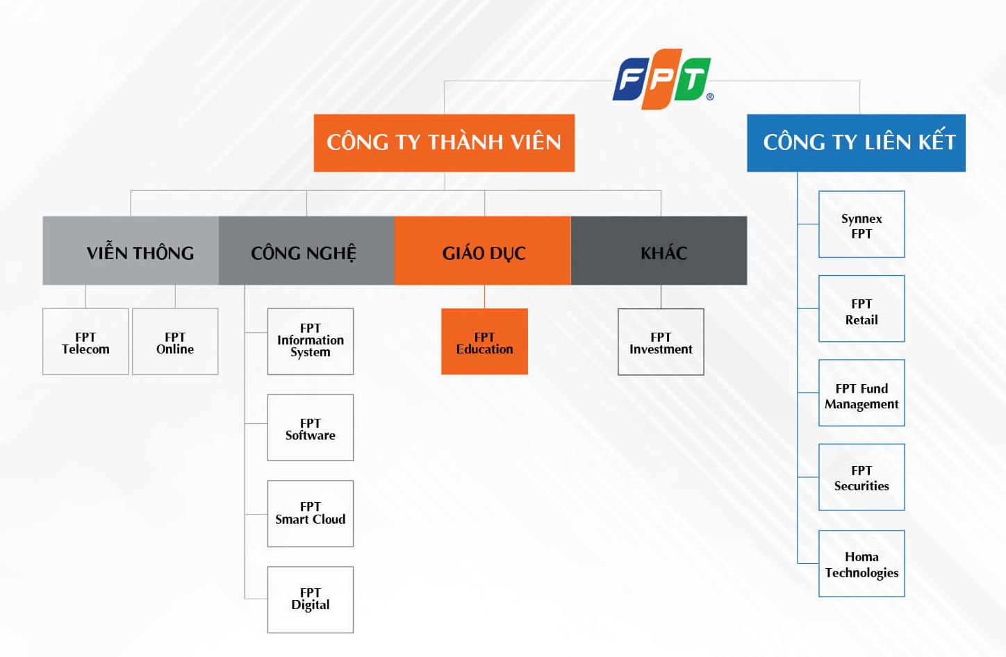 About VN 26032024