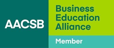 lubin inline departments accounting department aacsb alliance