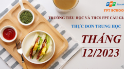 THCS thuc don thang 12 1024x536 2